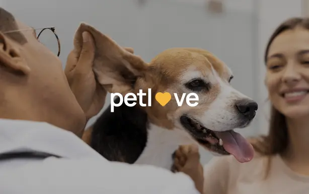 Pets are love